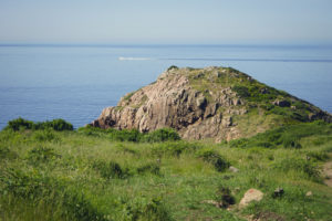 DSC04434